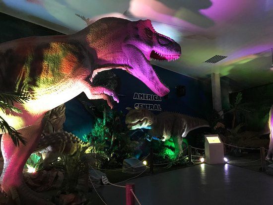 Tin Marin Children's Museum